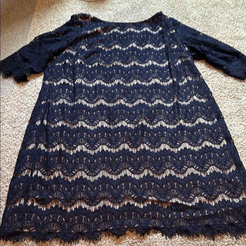 Elegant Navy Lace Dress